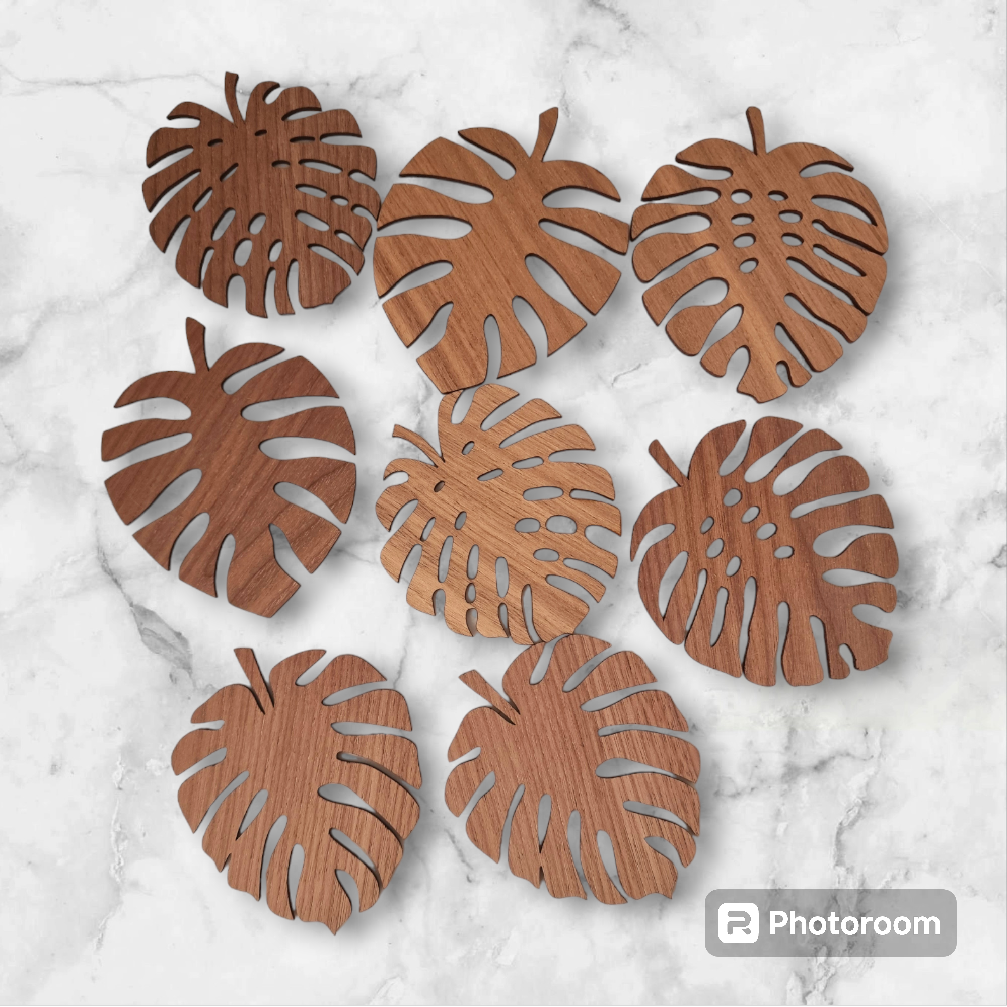 Monstera leaf coasters set